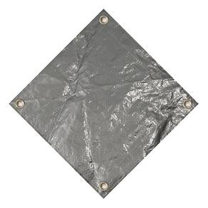 Winter Cover Silver King
