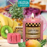 Candleberry Candle Caribbean Cheesecake 10oz