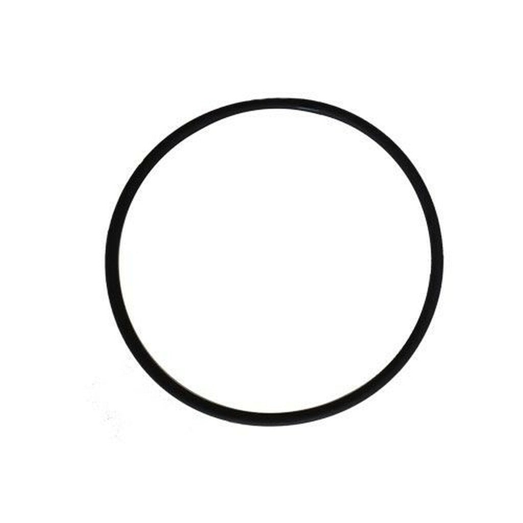 Frog Lid O Ring
