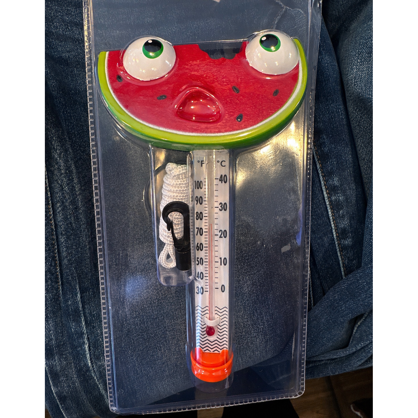 Fruity Pool Thermometer